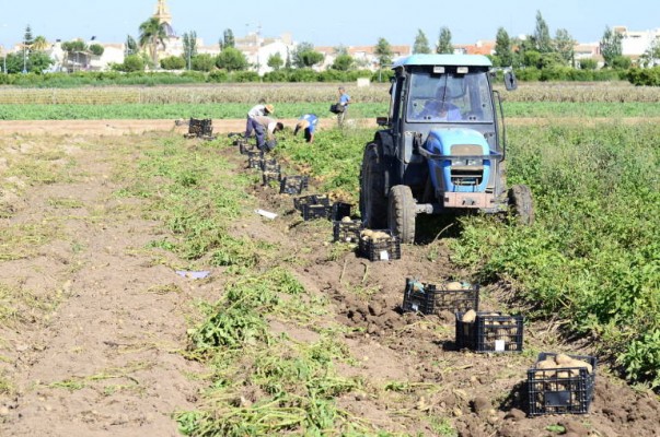 Los delitos en el campo descienden un 60% en 6 años en la Comunitat Valenciana