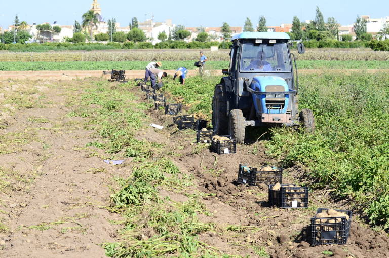 Los delitos en el campo descienden un 60% en 6 años en la Comunitat Valenciana