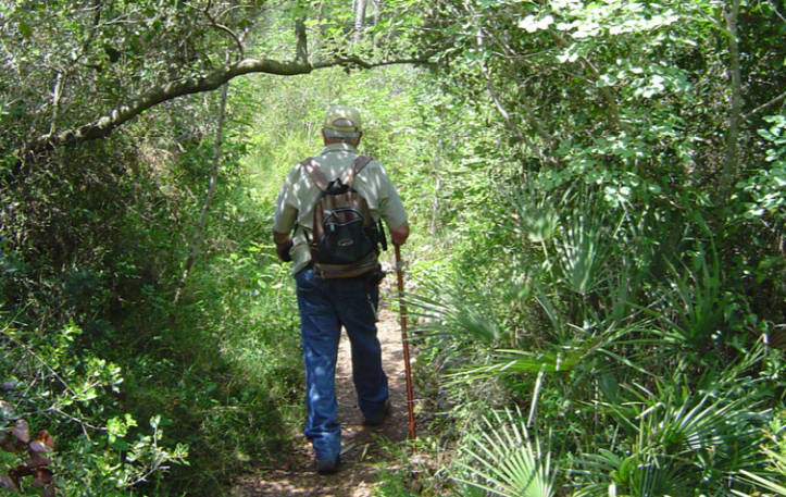 La Diputació amplía el Plan Director del Carraixet a Gàtova y Marines