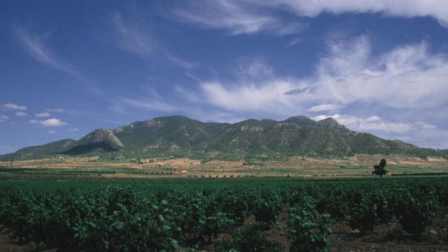 Ferits de Lletra: Viatge al Carxe, el mite del sud valencià