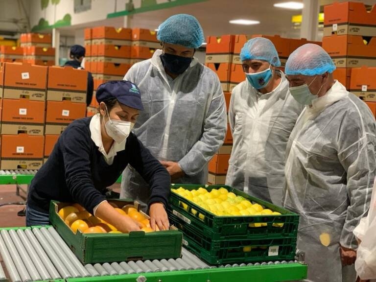 El sector de las cooperativas valencianas crea 152 nuevas empresas durante la pandemia