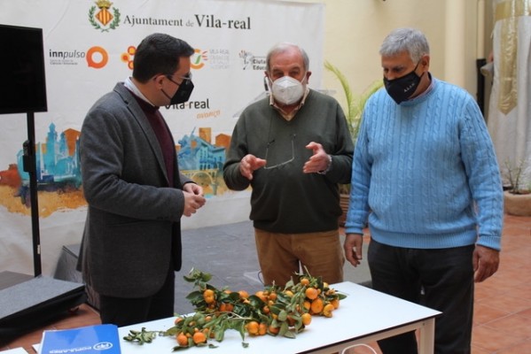 El PP de Vila-real eleva al Senado la reivindicación del campo para acabar con la plaga del cotonet