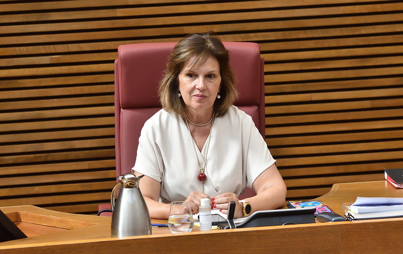 Carmen Martínez recoge las tareas de síndica en el PSPV mientras Mata se recupera