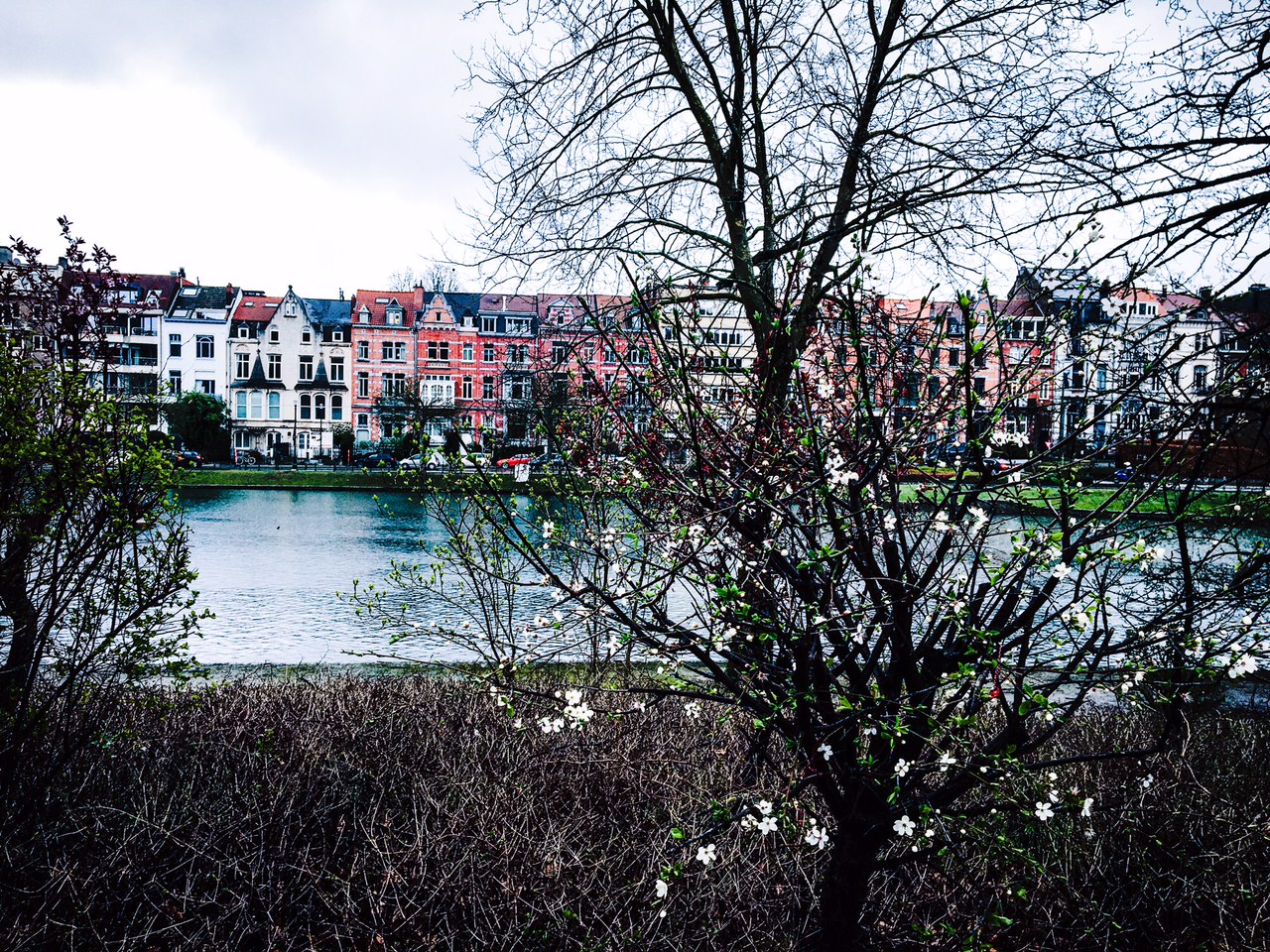 Socialismo y libertad