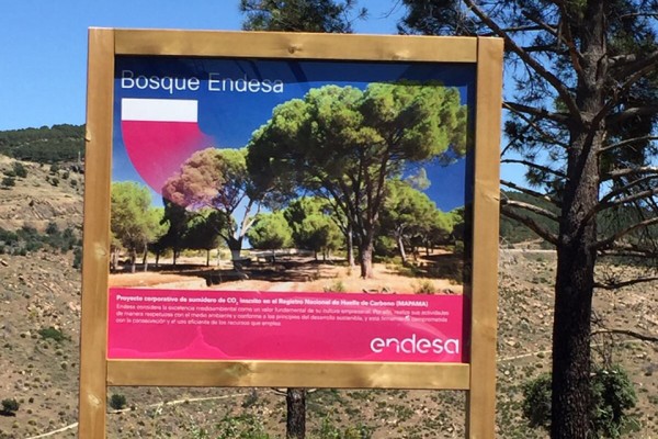 La iniciativa 'Bosque Endesa' ha restaurado ya unos 40.000 árboles