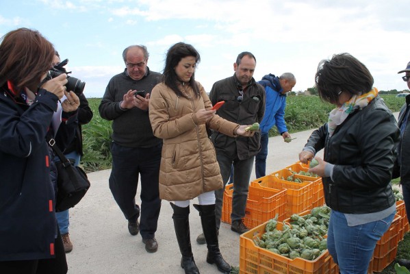 De la huerta a la mesa, el blogtrip gastronómico de la alcachofa Vega Baja para impulsar su consumo