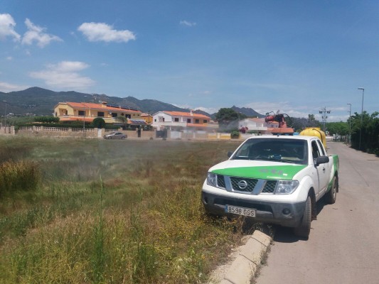 Benicàssim adelanta los tratamientos contra mosquitos tras las recientes lluvias