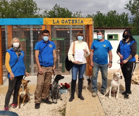 El Campello acoge a mascotas de víctimas de violencia de género y personas vulnerables