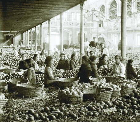 El paisatge cultural de la taronja valenciana  