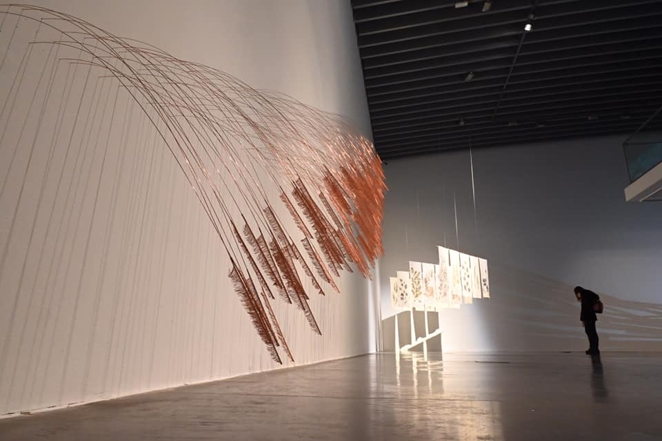 'Bio-lectures', o com una generació d'artistes treballa al rescat del despoblament de Castelló