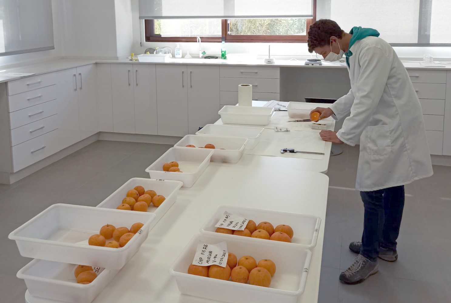  Incliva y AVA-Asaja estudiarán las propiedades saludables de los productos agrarios valencianos
