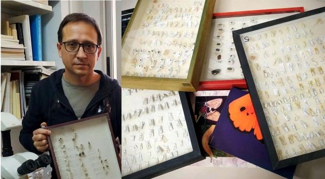 La UMU participa en un estudio que propone crear 'estaciones biológicas' para medir las poblaciones de insectos