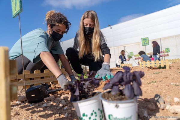 El Vivero de Empresas para Mujeres de Cartagena siembra la semilla del autoconsumo con un huerto urbano 