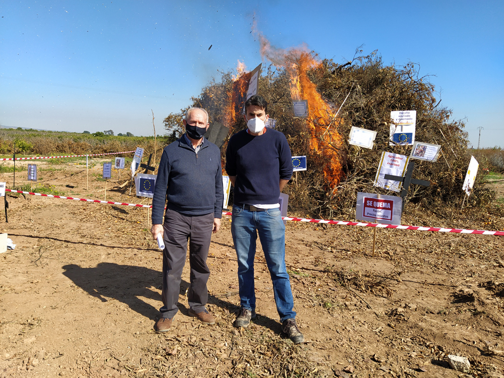 AVA-Asaja simboliza con una cremà agraria el arranque de 2.000 campos valencianos en un año