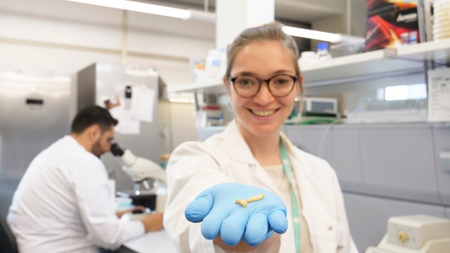 Darwin, bacterias 'a la carta' para solucionar problemas en la industria