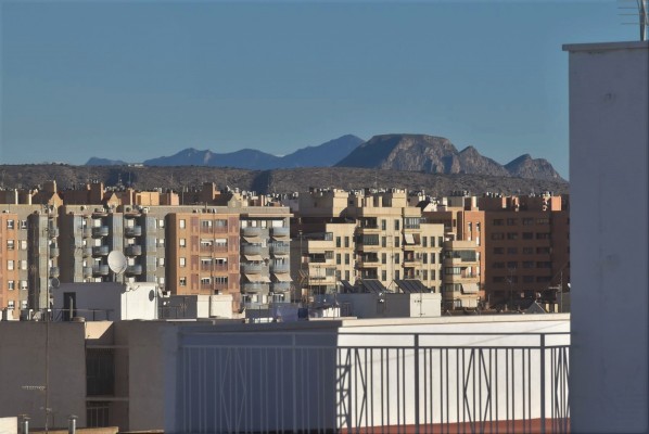 Elche llegará a las 12 viviendas sociales de la Sareb; el Consell ya ha ejercido el tanteo para otras 5 