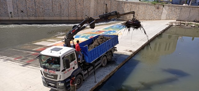 El Ayuntamiento de Orihuela limpia el cauce del río Segura en el tramo urbano 