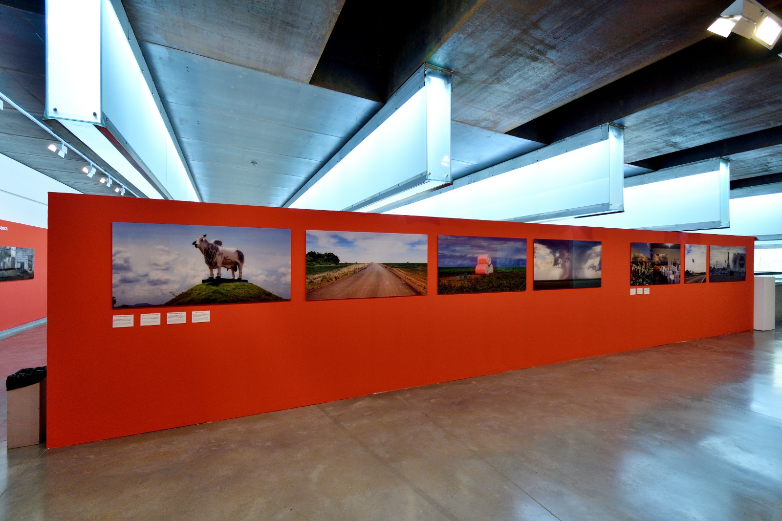 'Emergencia climática' - 