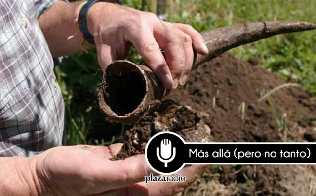 Biodinámica: la agricultura que vino del espacio
