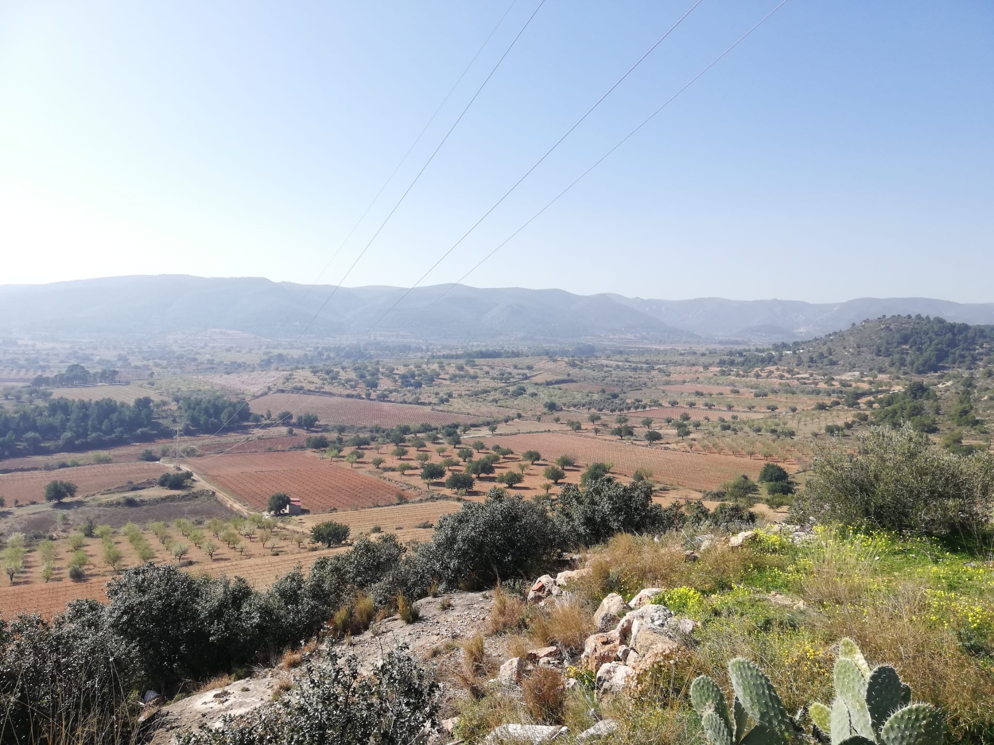 El 73% de los votantes considera desfavorable la ubicación de la planta fotovoltaica en Chiva