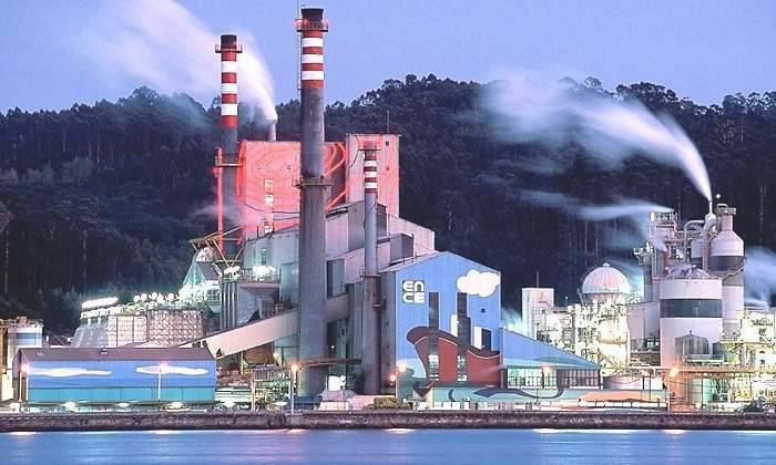 Palabra de Ence: la planta de Pontevedra es 
