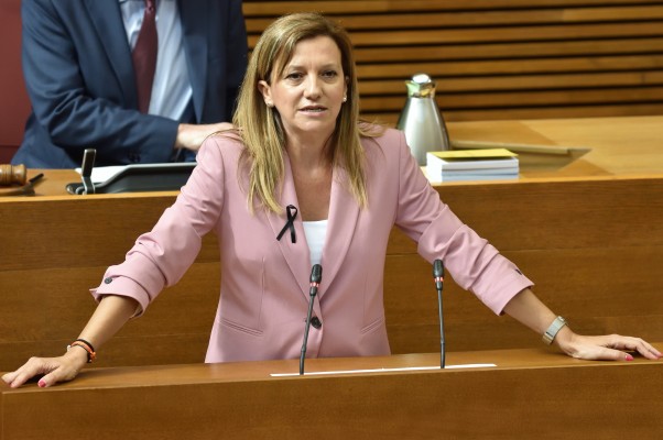 Cs exige al Botànic que cese los ataques contra la vicepresidenta de la Diputación, Julia Parra

