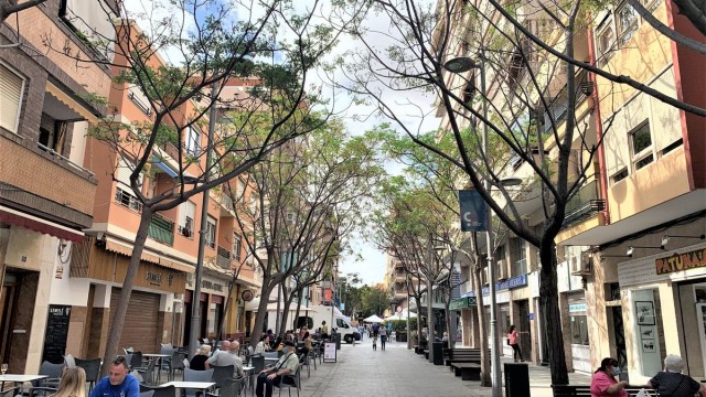 San Vicente registra 130 solicitudes para el Plan Resistir a 20 días de cerrar el plazo