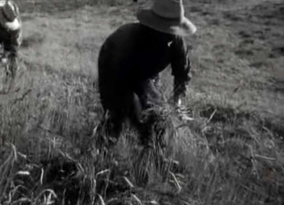 Un clásico del cine clandestino durante el franquismo: 'El campo es para el hombre'