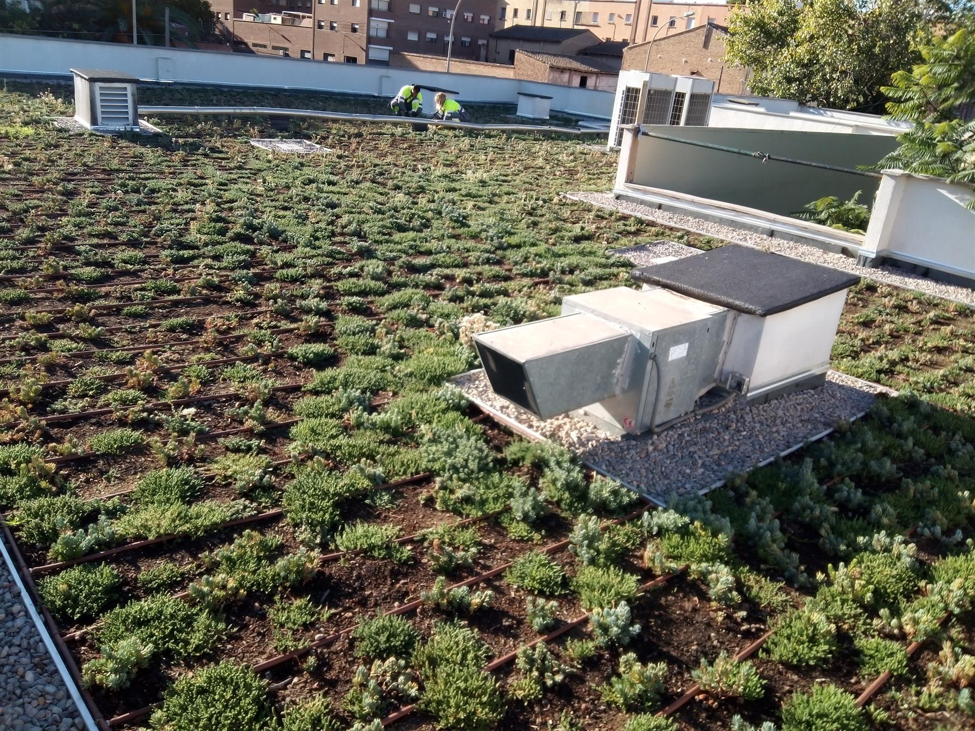  València evalúa por primera vez el impacto en la salud de la ciudadanía de un proyecto europeo