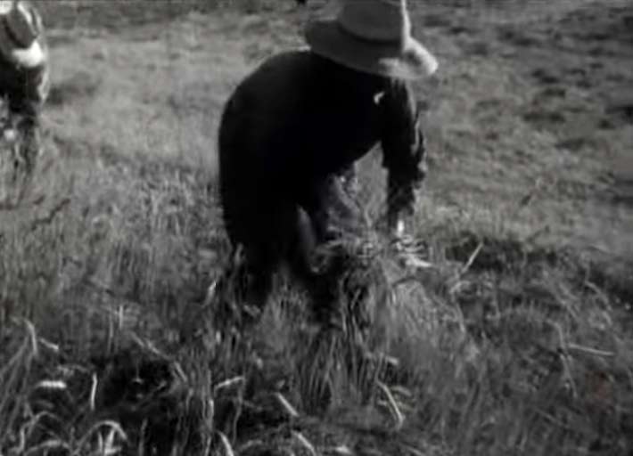 Un clásico del cine clandestino durante el franquismo: 'El campo es para el hombre'