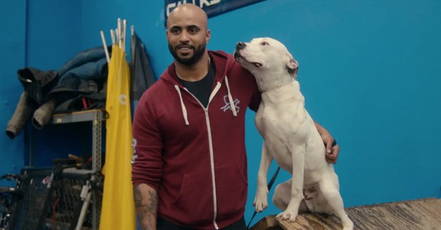 ‘Terapia canina’: el maltrato animal, normalizado en televisión, se extiende a las plataformas bajo demanda
