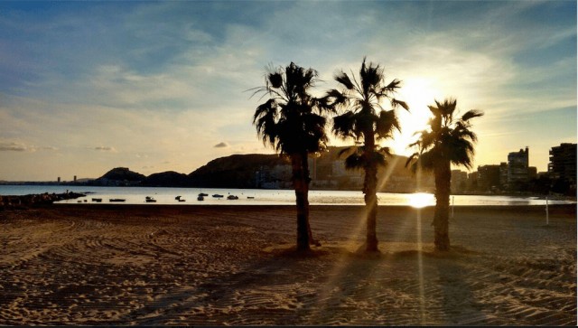 Aranea diseñará la urbanización de la Playa de La Almadraba: 25.000 metros de zona verde