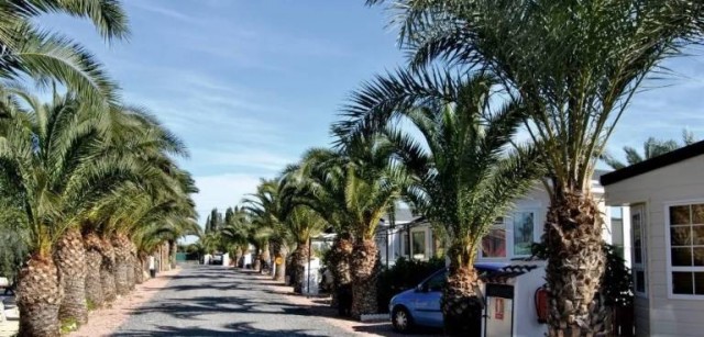 Política Territorial admite a trámite otra propuesta del campamento turístico para Elche que rechazó