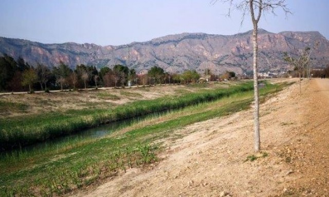 La CHS invertirá 1,7 millones en elaborar un estudio del estado del encauzamiento del río Segura