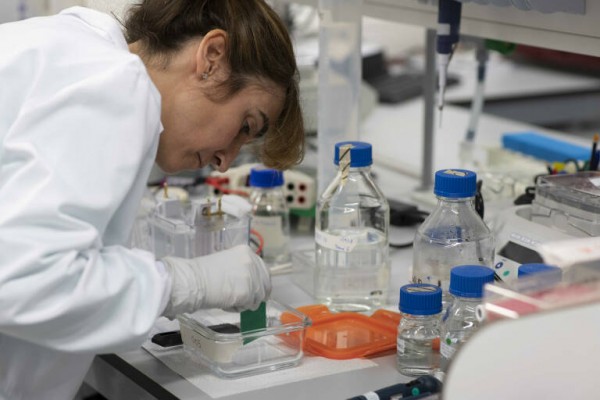 Sanidad potenciará el diagnóstico precoz de las enfermedades raras en la Comunitat Valenciana