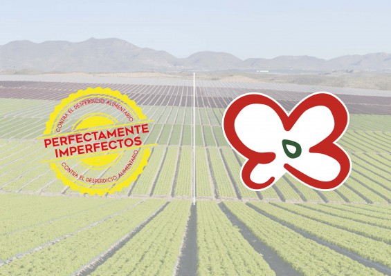 Primaflor se une a la campaña 'Perfectamente Imperfectos' para luchar contar el desperdicio alimentario