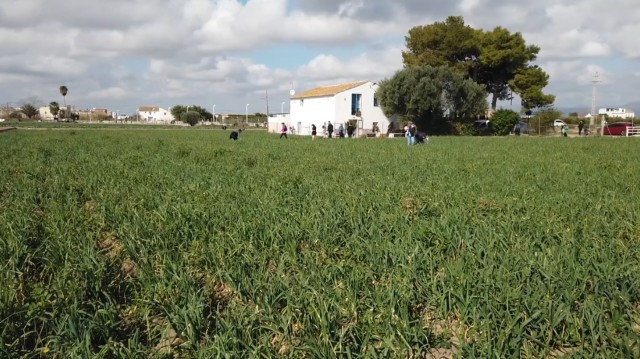 Esther Vivas: 