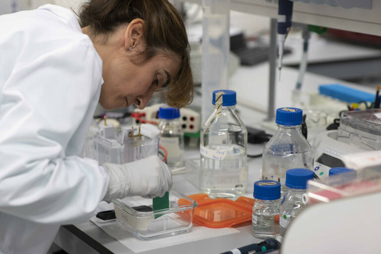 Sanidad potenciará el diagnóstico precoz de las enfermedades raras en la Comunitat Valenciana