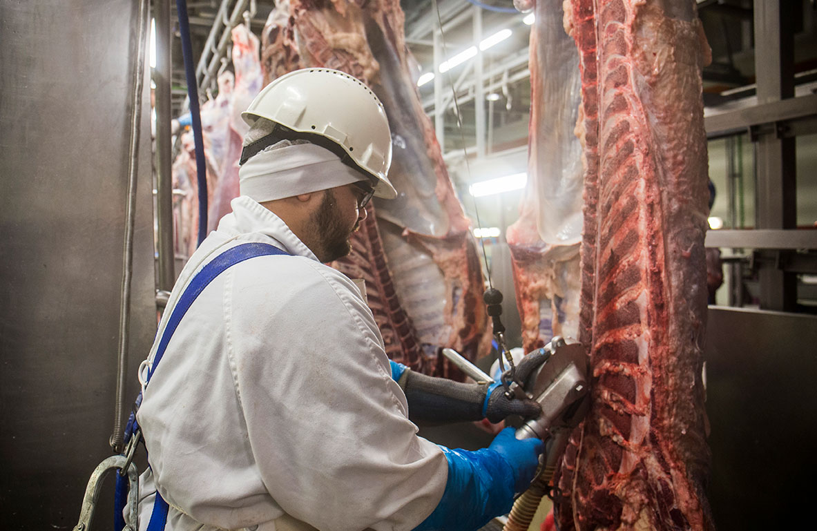 Elaborados Cárnicos Medina incrementa su facturación un 4,5% hasta los 347,5 millones 