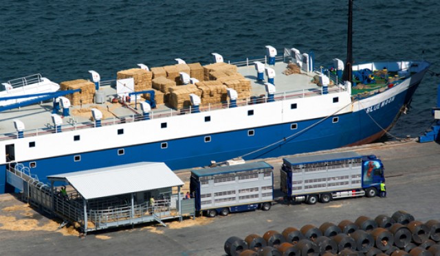 El capitán del Karim Allah niega el acceso al barco de los inspectores del Ministerio