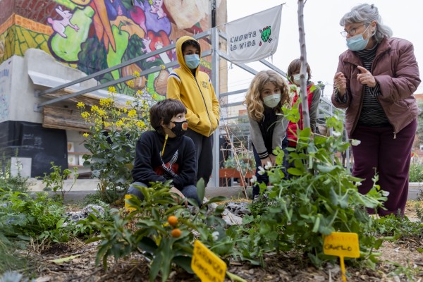 El IVAM organiza un taller
de apicultura y una visita a
un huerto urbano