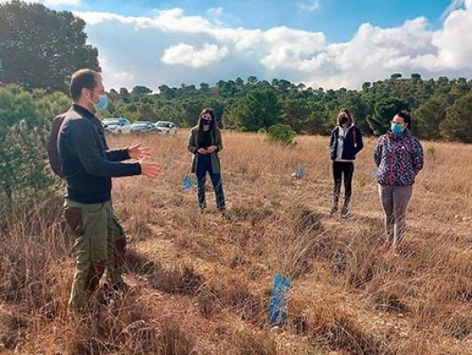 Los trabajadores de Andamur añaden más árboles a su bosque para reducir la contaminación