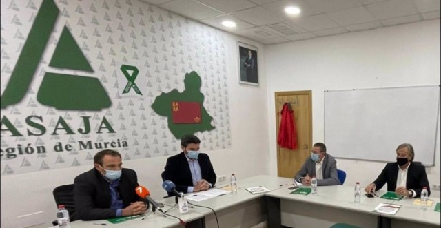 ASAJA crea su patronal de cítricos para 