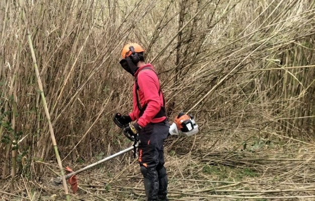 El proyecto Guardian avanza con el desbroce de montes cercanos a urbanizaciones de Paterna y Riba-roja