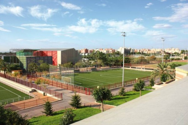 El PP de Elche propone un plan económico para la viabilidad de asociaciones y clubes del deporte