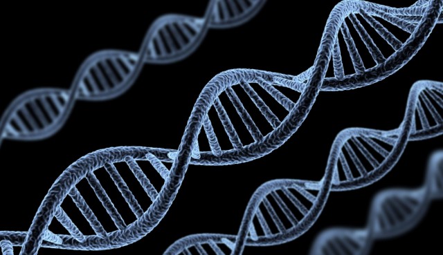 100 genes implicados en el trastorno bipolar