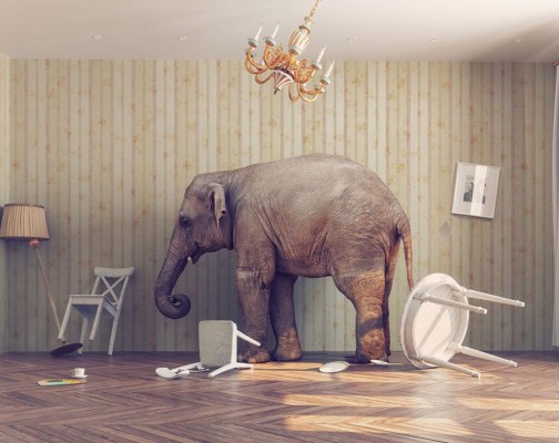 ¿Hablamos ya del elefante?