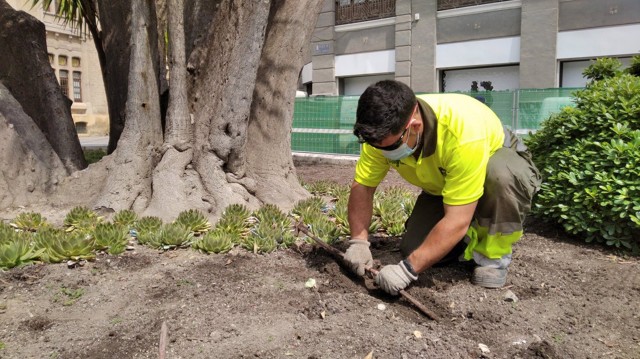 La tecnología Smart City llega a la Vía Verde de Murcia para asegurar el uso eficiente del agua en el riego