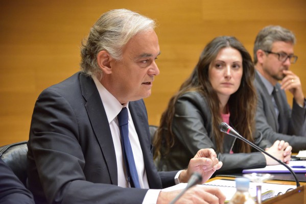 González Pons: 