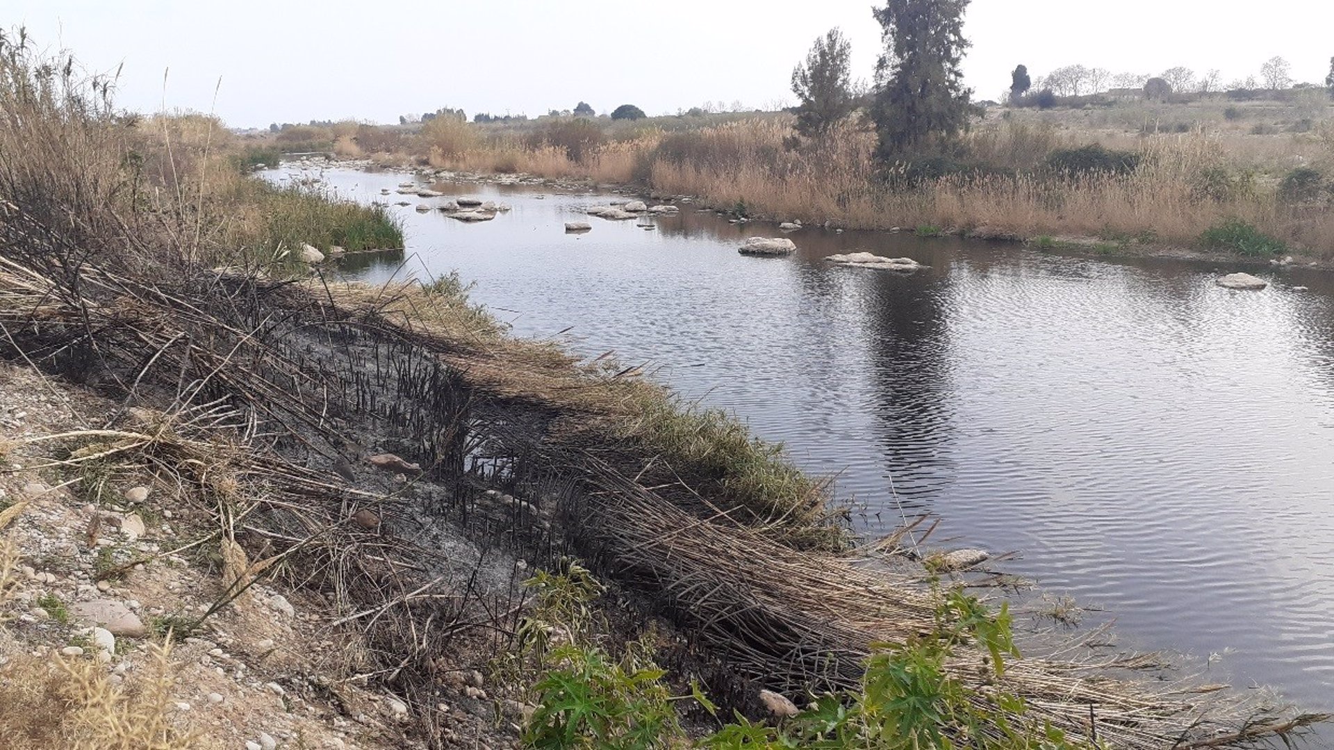 Un pequeño incendio quema parte del paisaje protegido de la desembocadura del Mijares